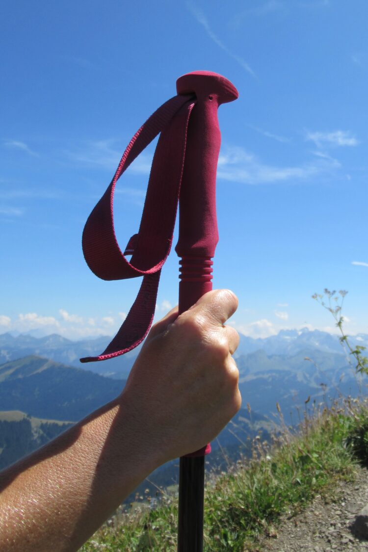 Grip des bâtons Carbon Pro Zero Compact