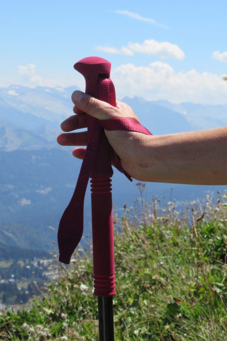 Confort des bâtons Komperdell Carbon Pro Zero Compact
