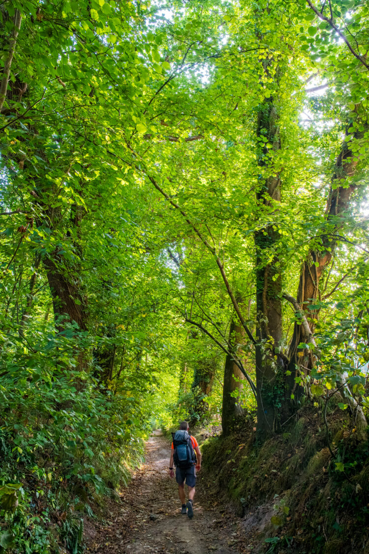 En forêt, GR®21