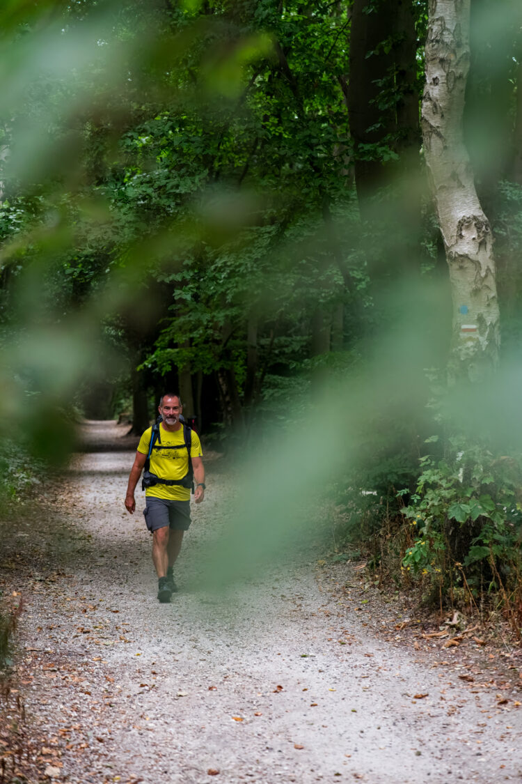 Forêt de Mongeon, GR®21