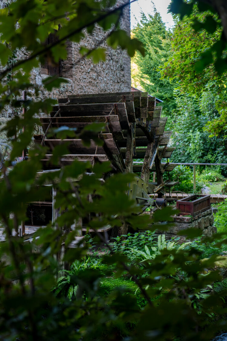 Le moulin des aïeux, Veules-les-Roses