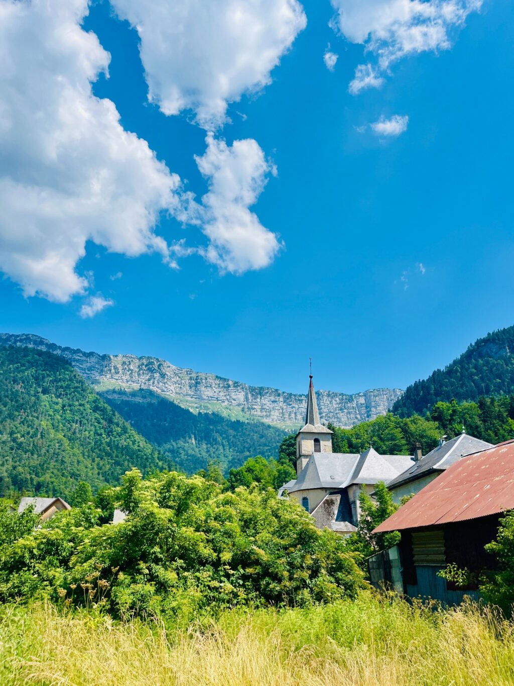 Ambiance de chartreuse